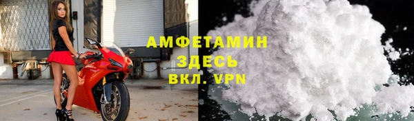 PSILOCYBIN Рославль