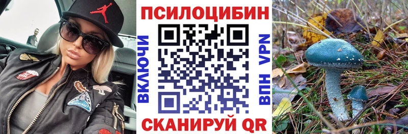 как найти закладки  Мурино  Псилоцибиновые грибы мицелий 